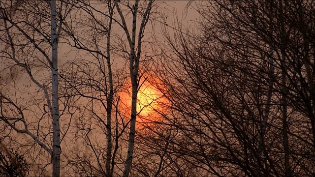 авт. видео, фото - Мария Собакарева. Закаты над нашим селом.