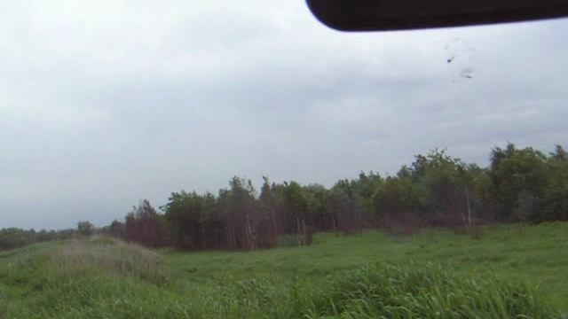 УАЗ летом по полю 20.06.2009