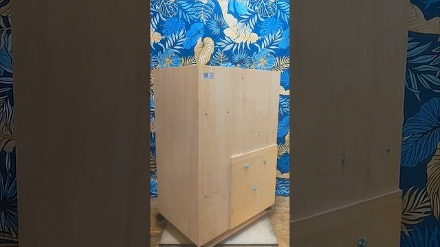 Витрина с пластиковой дверцей