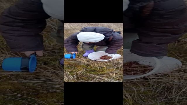 то самое болото