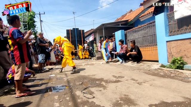 BARU MAJU LANGSUNG TERPELESET❗ AKSI KUNGFU LEO TERMUDA | burok putra gaya muda