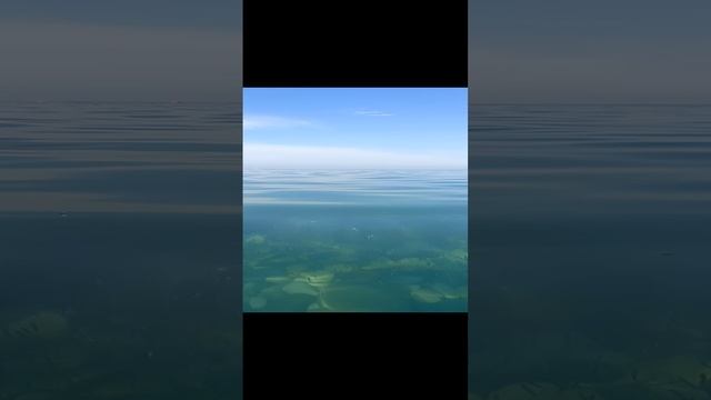 МОРЕ РЫБОК В ОЛЬГИНКЕ ПОД ВОДОЙ