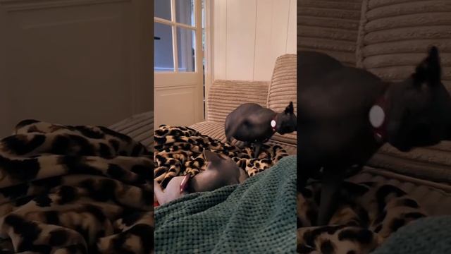 1000070942.mp4