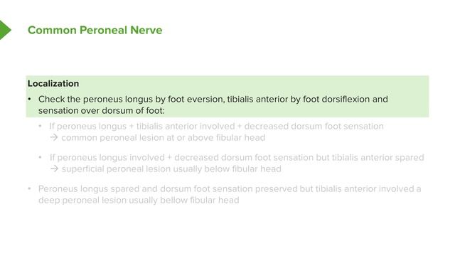 04. Femoral Nerve