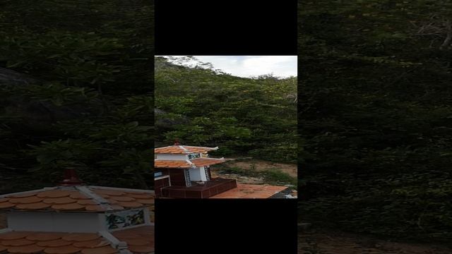 1000000523.mp4