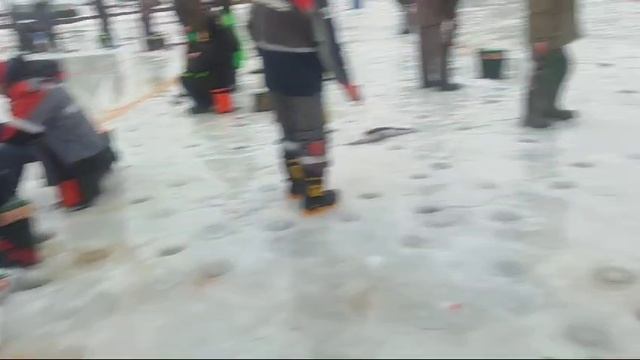 WhatsApp Video 2025-01-11 at 10.22.00
