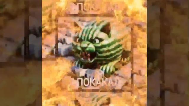 1000002499.mp4