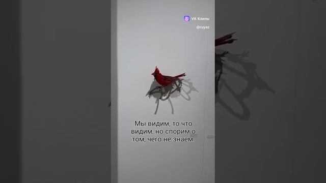 VID-20250111-WA0022