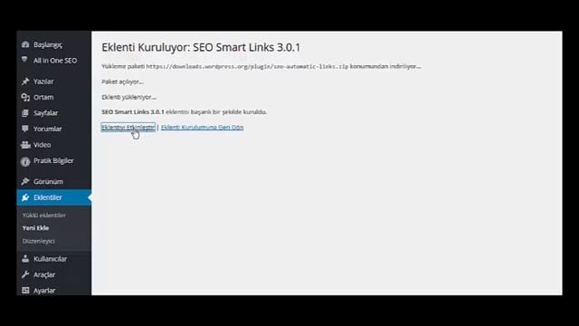 Wordpress SEO Smart Links Eklentisi