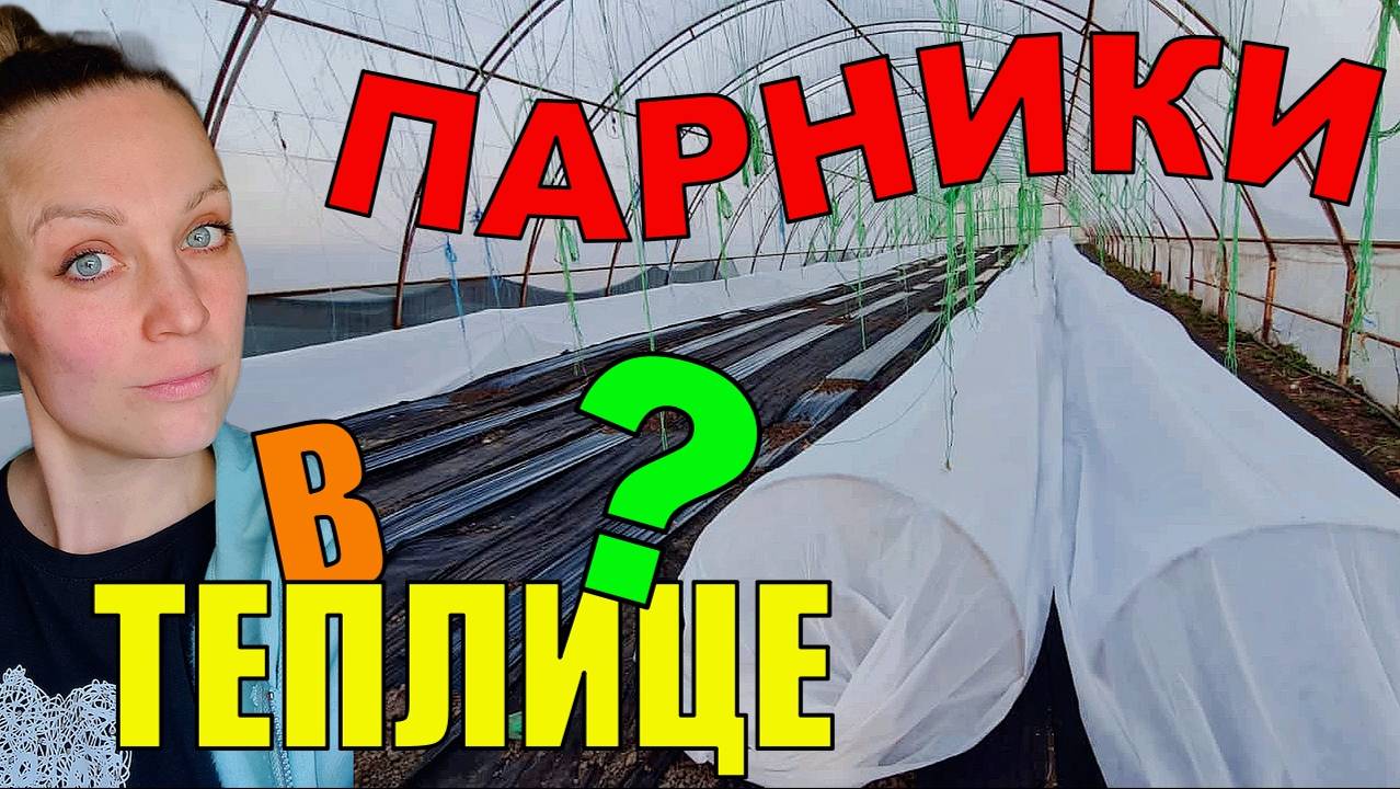 Парники для рассады в теплице своими руками. Высадка томатов в марте.