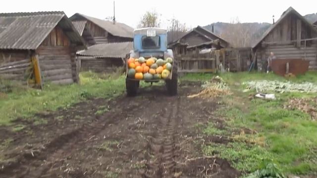 Осень в деревне, листва пожелтела...