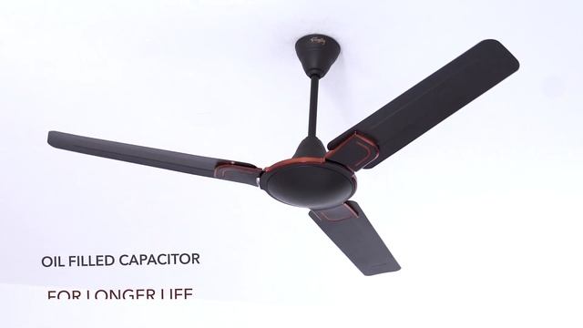 Experience Breeze Brilliance: Rally Fauna DLX Ceiling Fan