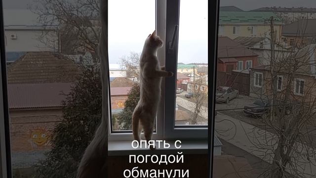 scene_output.mp4