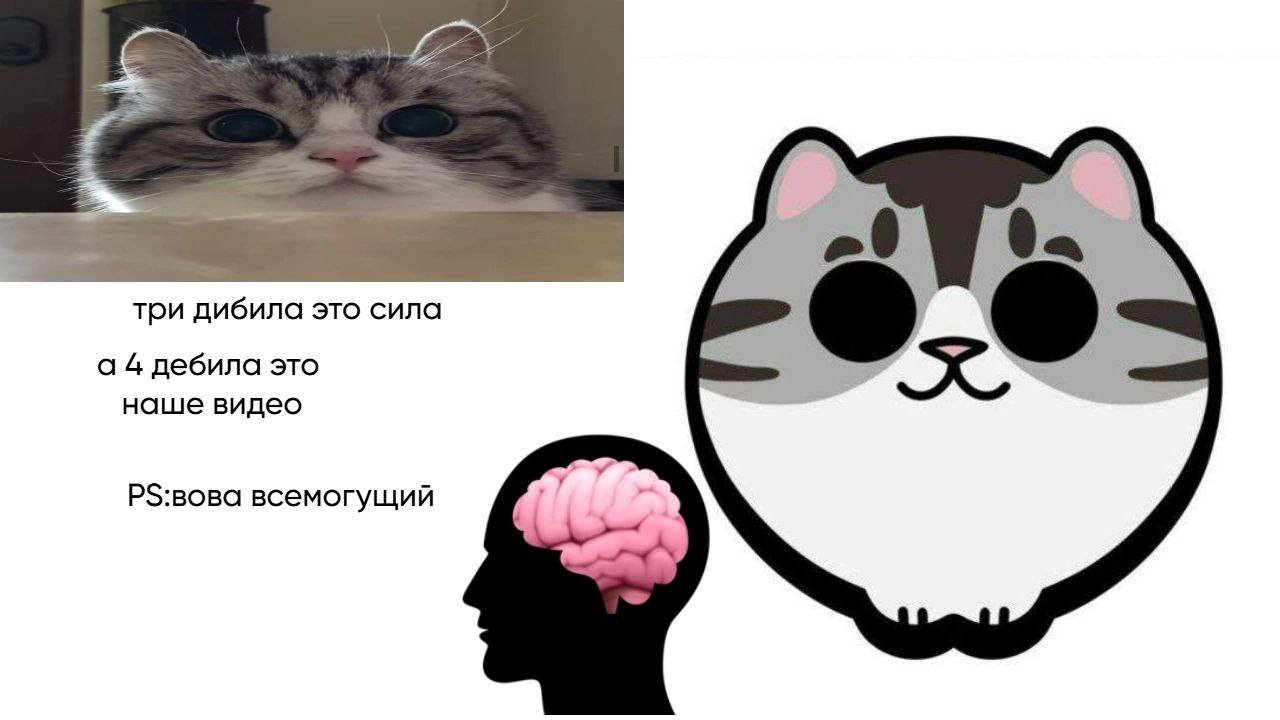 обзор  дождика