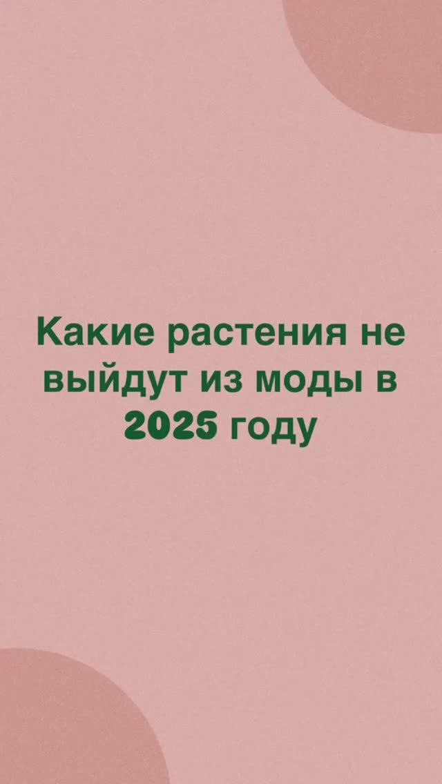 Какие растения не выйдут из моды в 2025 году. Хвойные, гортензии, злаки, ели, туи, сосны.