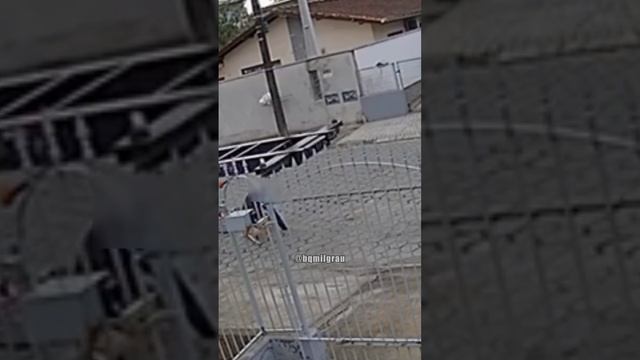 Велосипедист жёстко врезался