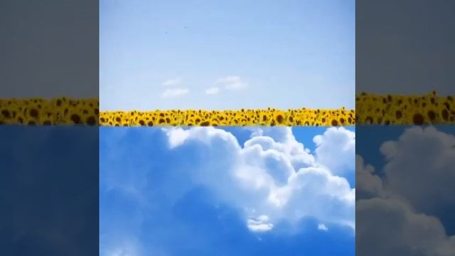 18 декабря 2024 г.