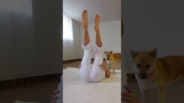 Разминка ног. More legs stretching asmr #flexibility #yoga #stretches