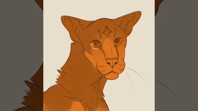 ᚑ✦ Warriors ✦ᚑ Firestar Speedpaint