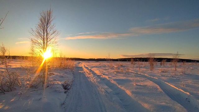 January. The North of Karelia.mp4