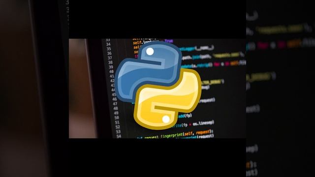 Основы python заключение