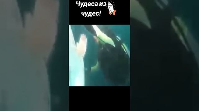 ✝️ 3-х метровая статуя Богородицы в океане  ⬇️ В Индийском океане водолазы искали чёрный ящик, от ра