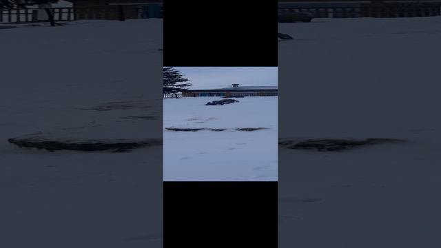 горки 2025.mp4