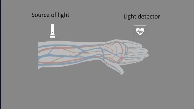 Optical Heart rate monitors, How they work in 60 seconds!