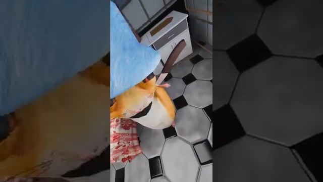 СИДИМ С БОБРОМ НА СТОЛОМ (360p).mp4