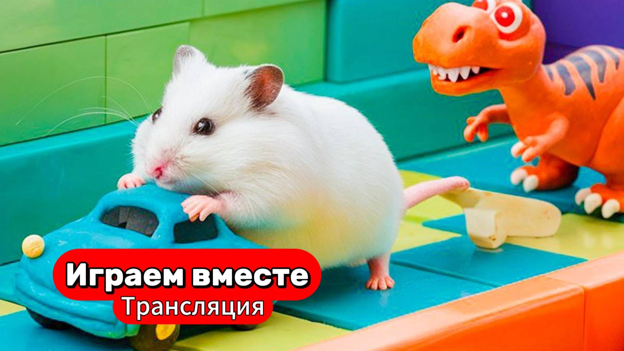 Помогаем Хомяку выбраться из лабиринта с ловушками 🐹 Трансляция для детей