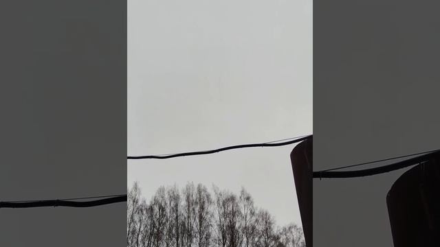 Весна 🌱 пришла...в январе