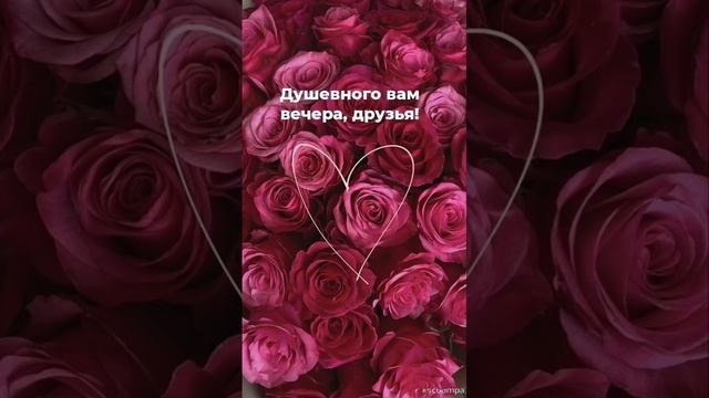 Добрый вечер💙 Прекрасного отдыха💜