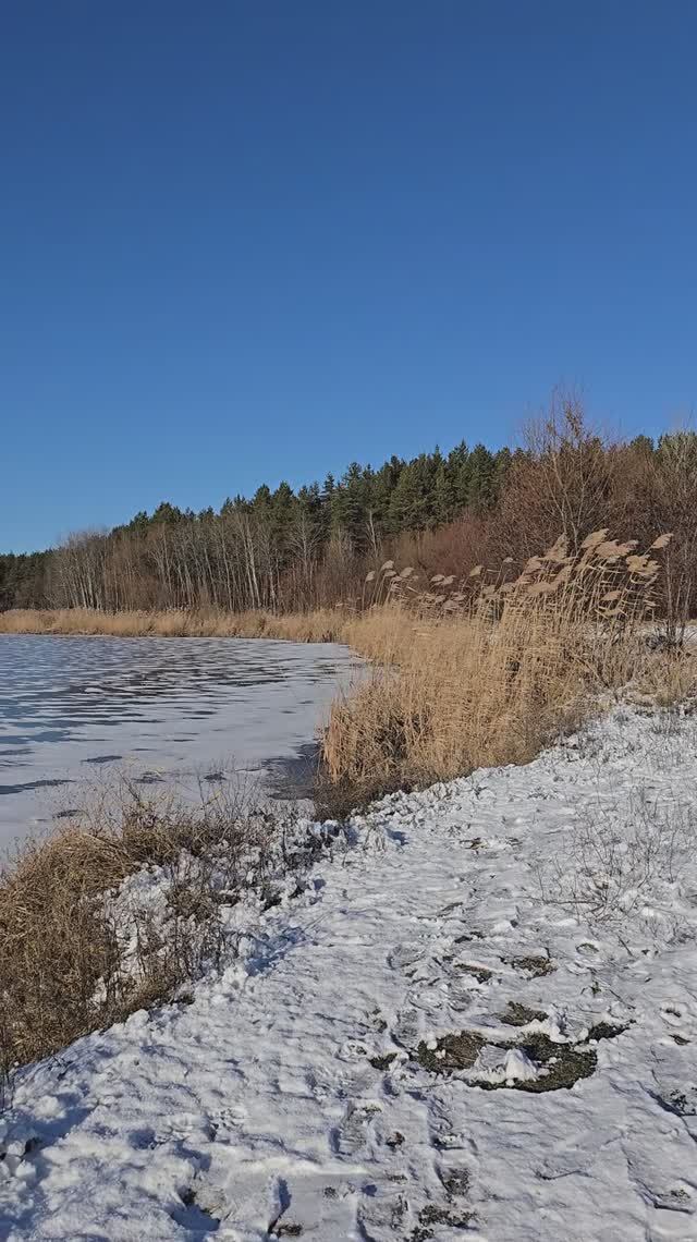 На берегу водохранилища, Белгород