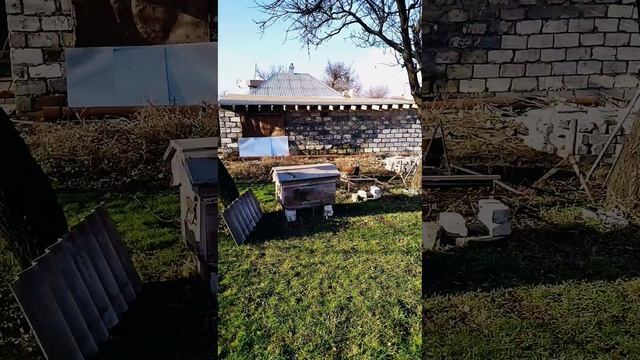 ОСЬ НА ЗЕМЛЕ СМЕСТИЛАСЬ 
или глобальное потепление.