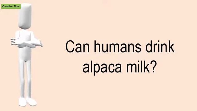 Can Humans Drink Alpaca Milk?