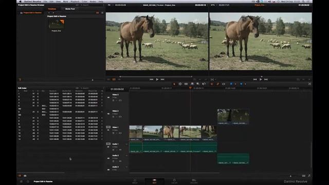 Blackmagic DaVinci Resolve - 10) Strih v DaVinci Resolve a Scene Cut Detection