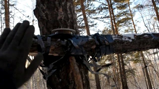 Bushcraft сооружение в лесу, первые действия строительства