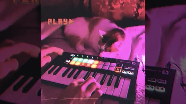 Novation mini mk3. Ableton live. Retrowave