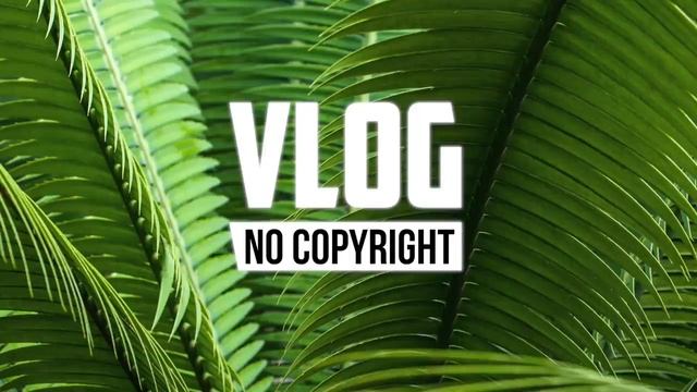 AERØHEAD - Lights Of Elysium (Vlog No Copyright Music)