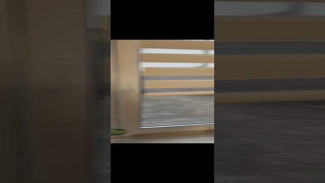 1000078172.mp4