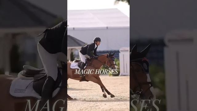 Вот вам эдит/ MAGIC HORSES