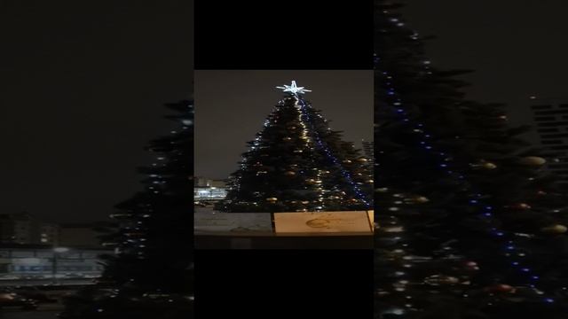 VID_20250109_070119.mp4