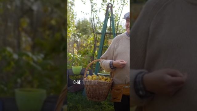 Баланс: жить хорошо сегодня и думать о будущем