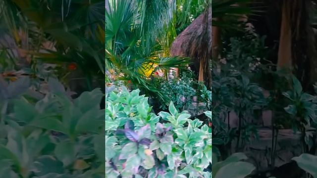 10-01-2025. Ресторанчики в Пуэрто Авентурас.