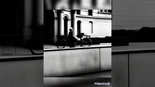 VideoCook_20250110_161459612.mp4