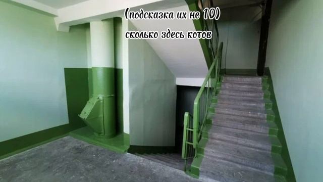 1000025908.mp4