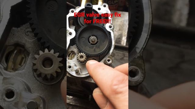 Fix Audi EGR valve for FREE!!!