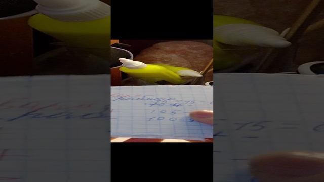 проверка тетрадей