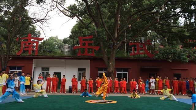 2014 World Teach China Summer - Martial Arts performance in Nan Yue