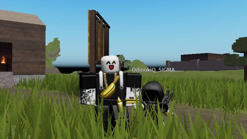 ОБЗОР НОВОГО ОБНОВЛЕНИЯ skibidi defens
🥴🥴🥴